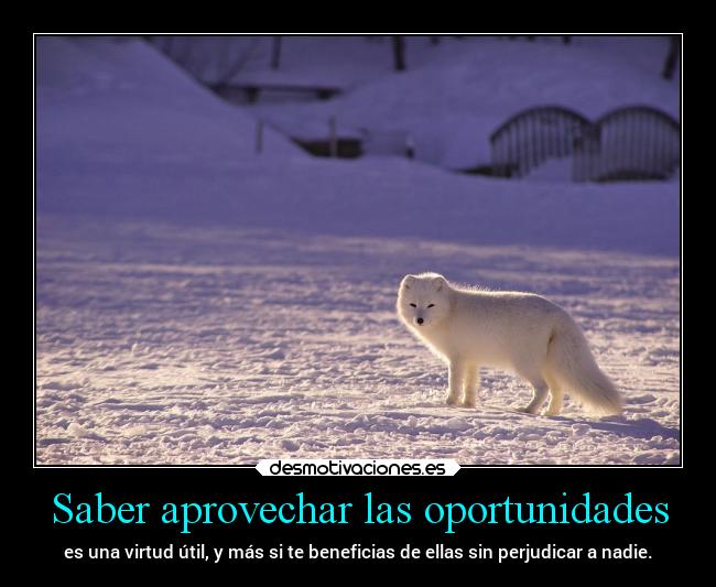 Saber aprovechar las oportunidades - 