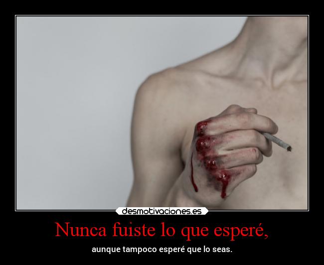 Nunca fuiste lo que esperé, - aunque tampoco esperé que lo seas.