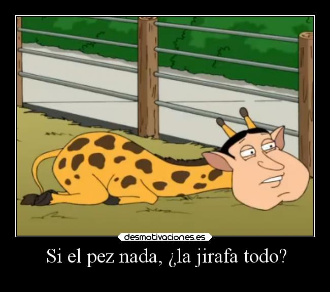 Si el pez nada, ¿la jirafa todo? -