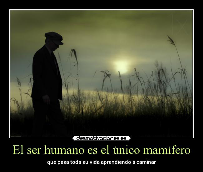 El ser humano es el único mamífero - 