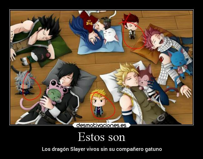 Estos son - Los dragón Slayer vivos sin su compañero gatuno