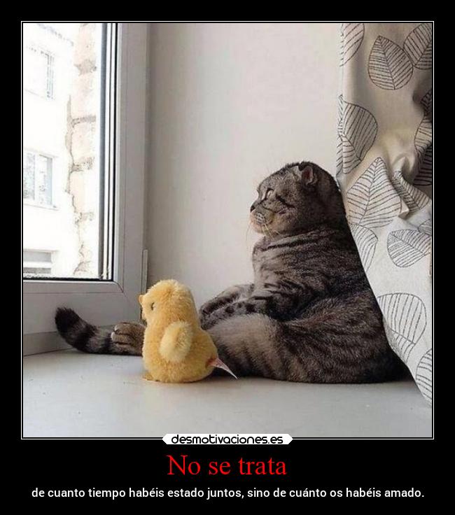 No se trata - de cuanto tiempo habéis estado juntos, sino de cuánto os habéis amado.