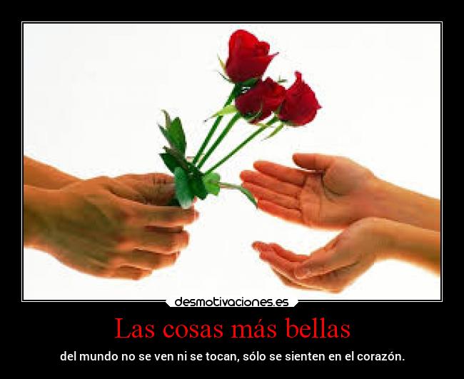 Las cosas más bellas - del mundo no se ven ni se tocan, sólo se sienten en el corazón.