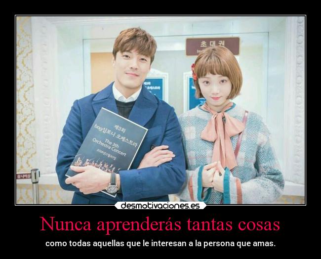 Nunca aprenderás tantas cosas -