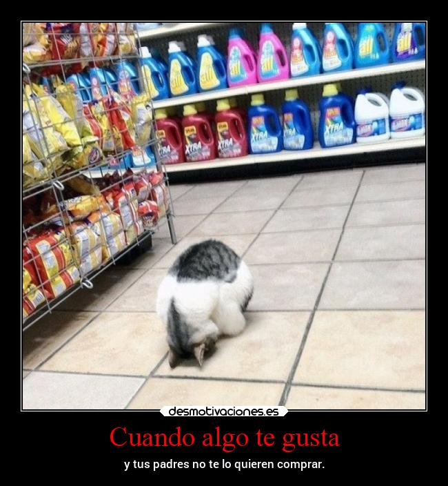 Cuando algo te gusta - y tus padres no te lo quieren comprar.