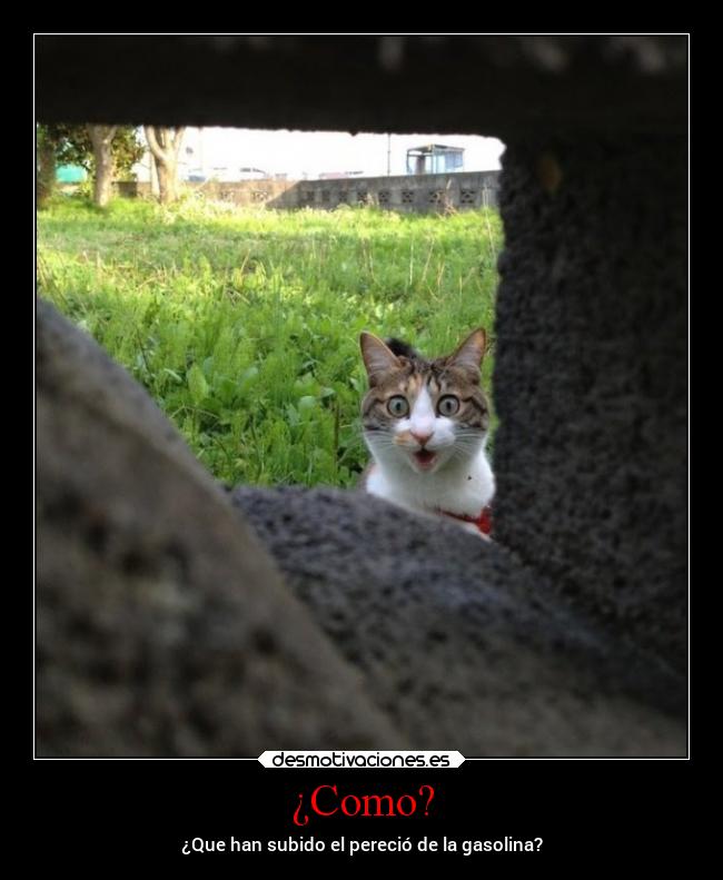 ¿Como? - ¿Que han subido el pereció de la gasolina?