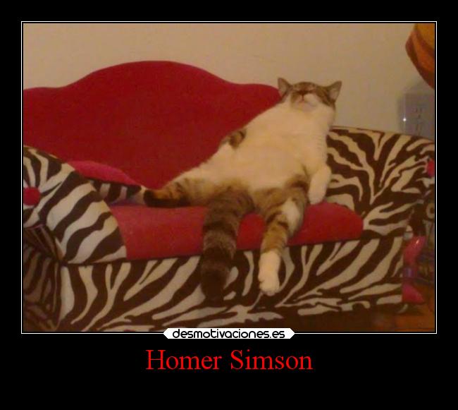 Homer Simson -