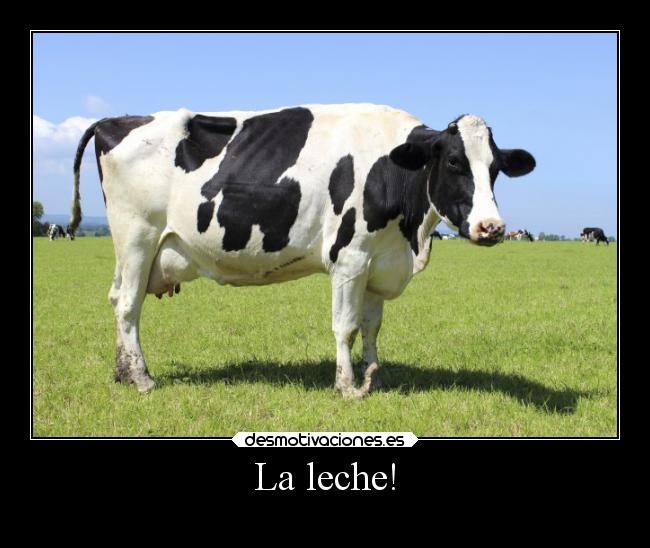 La leche! -