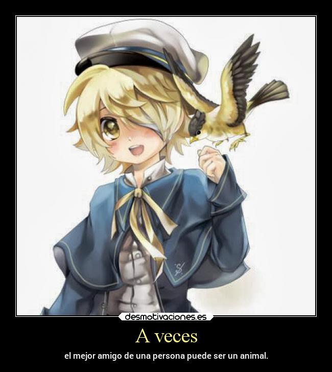 carteles anime animales amigos desmotivaciones