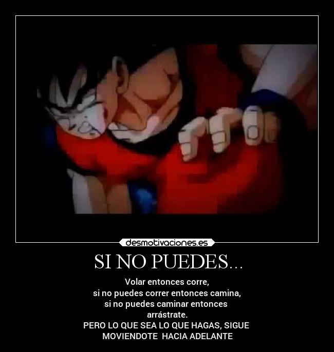 SI NO PUEDES... - Volar entonces corre,
si no puedes correr entonces camina,
si no puedes caminar entonces
arrástrate.
PERO LO QUE SEA LO QUE HAGAS, SIGUE
MOVIENDOTE HACIA ADELANTE