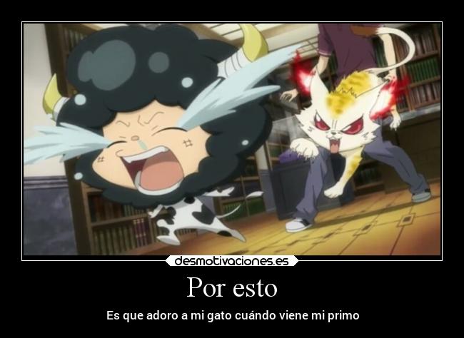 Por esto - Es que adoro a mi gato cuándo viene mi primo