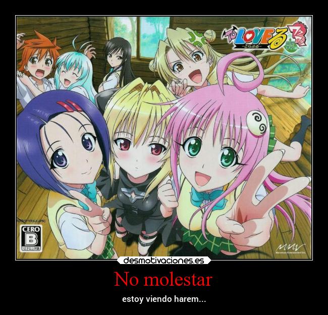 No molestar - estoy viendo harem...