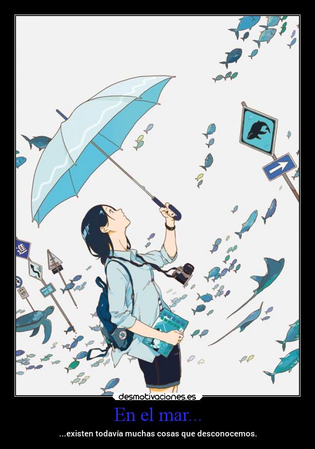 En el mar... - ...existen todavía muchas cosas que desconocemos.