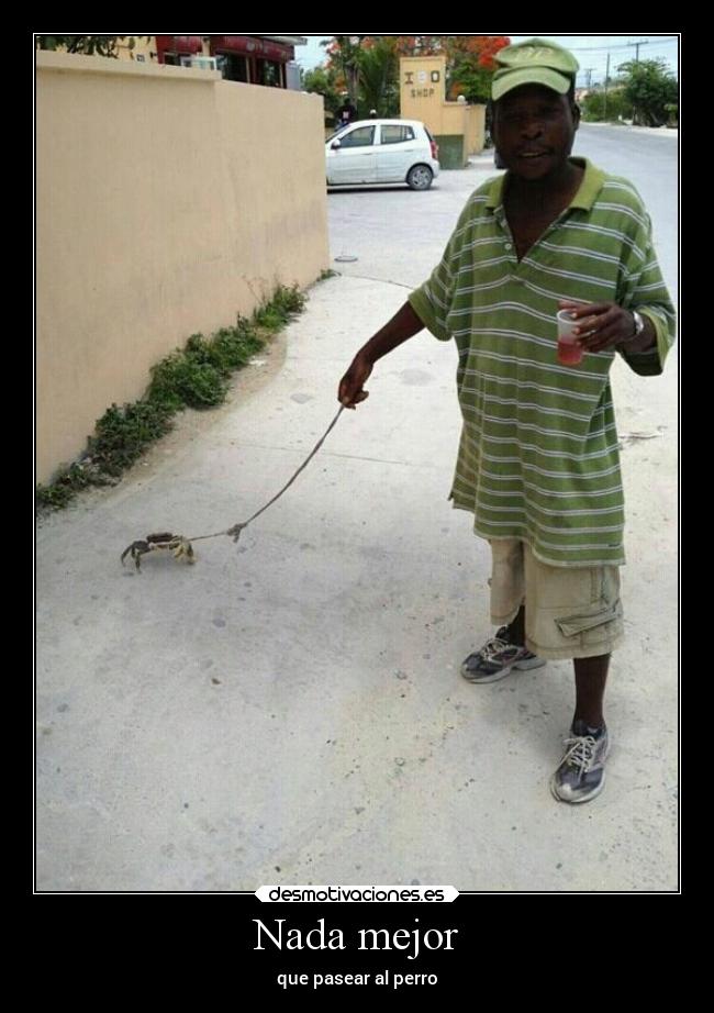 Nada mejor - que pasear al perro