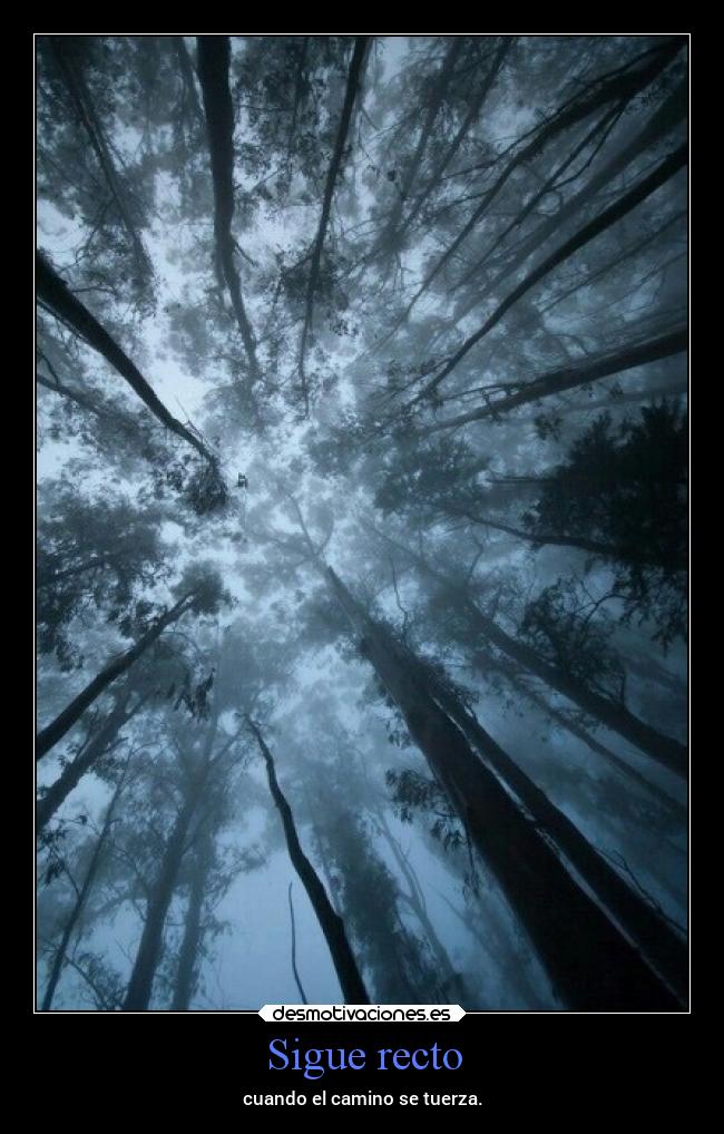 Sigue recto - cuando el camino se tuerza.