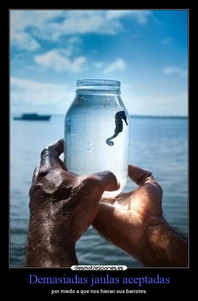 Demasiadas jaulas aceptadas - por miedo a que nos hieran sus barrotes.
