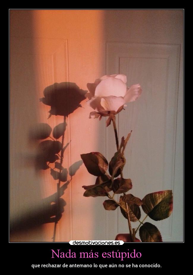 Nada más estúpido - que rechazar de antemano lo que aún no se ha conocido.