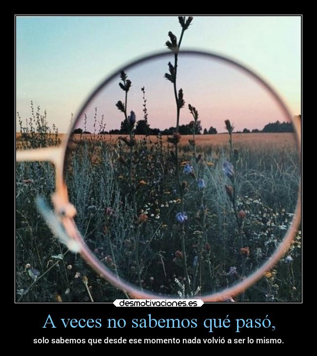 A veces no sabemos qué pasó, - solo sabemos que desde ese momento nada volvió a ser lo mismo.