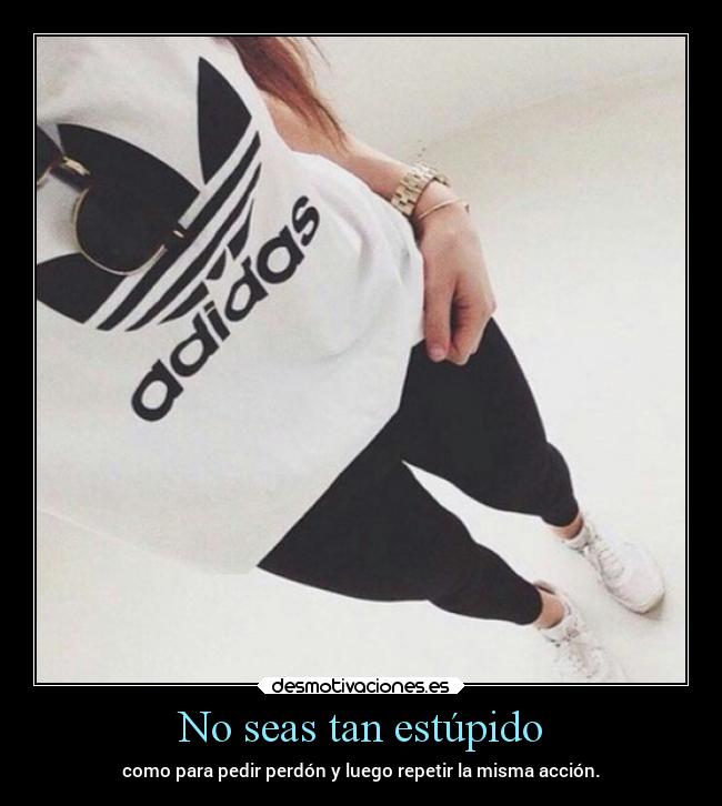 No seas tan estúpido - como para pedir perdón y luego repetir la misma acción.