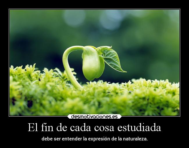 El fin de cada cosa estudiada - 