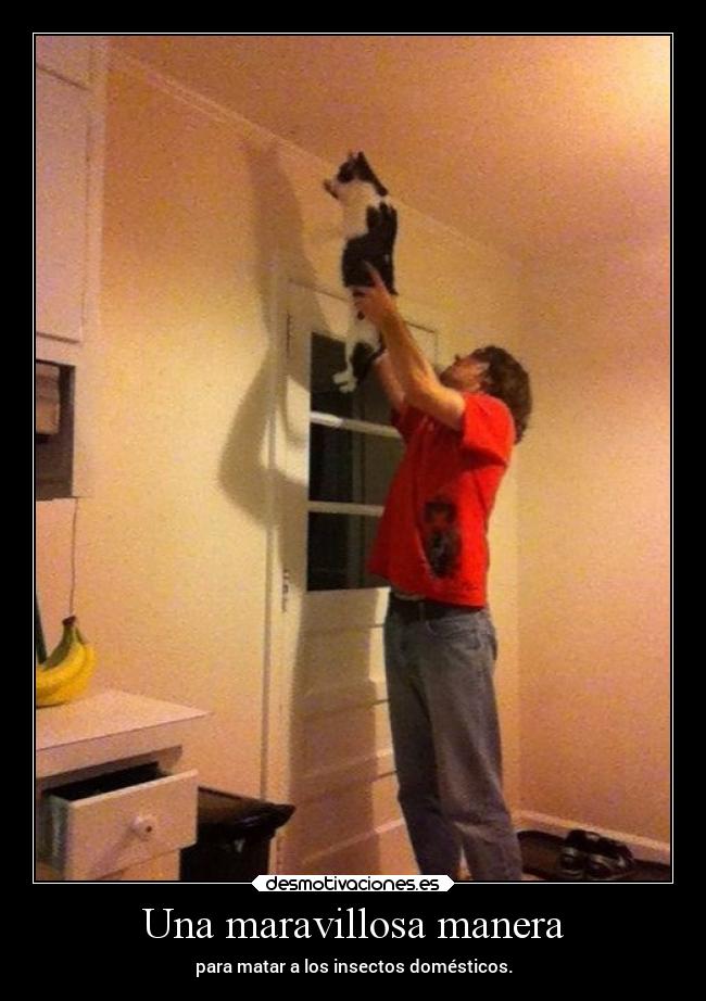 Una maravillosa manera - 