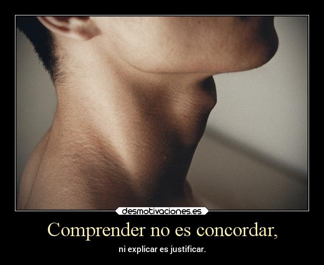 Comprender no es concordar, - 