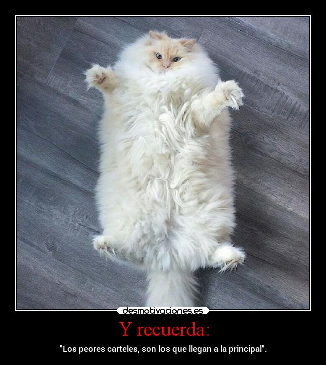 carteles desmotivaciones humor unicorniosrosasyazules principalesdemierda desmotivaciones