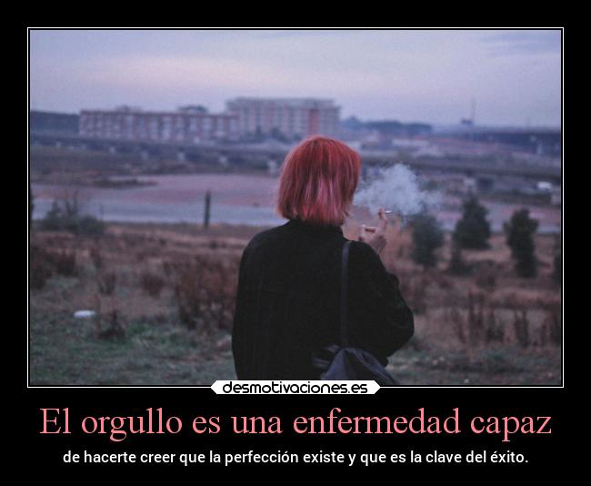 carteles desmotivaciones orgullo enfermedad perfeccion clanhumo waltk desmotivaciones