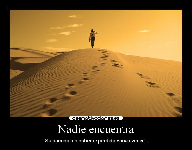 Nadie encuentra - 