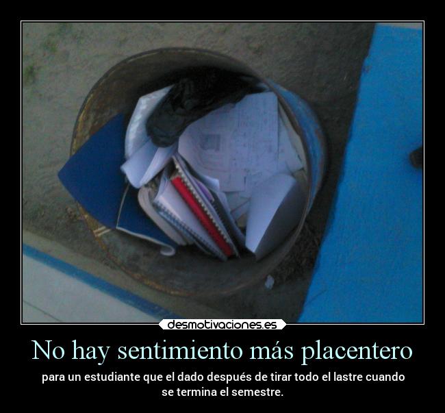 carteles escuela felicidad libertad motivaciones vacaciones desmotivaciones