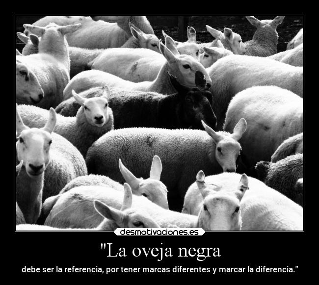 La oveja negra - debe ser la referencia, por tener marcas diferentes y marcar la diferencia.