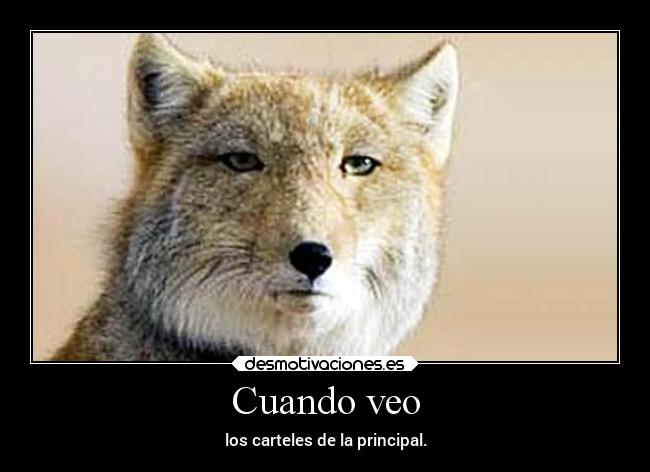 Cuando veo - los carteles de la principal.