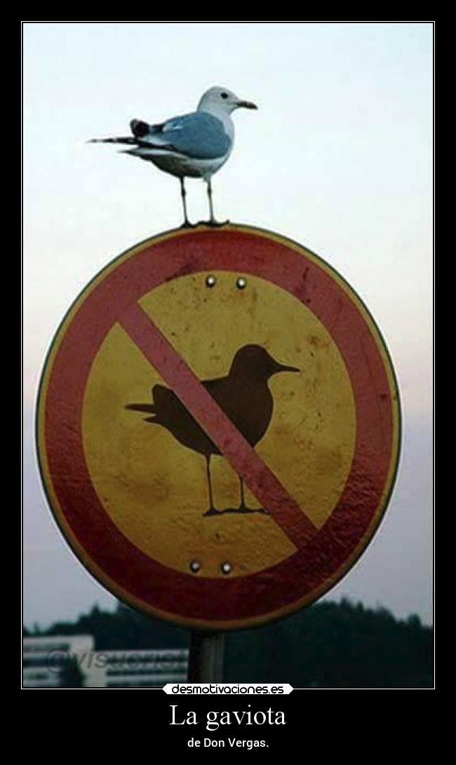 La gaviota - de Don Vergas.