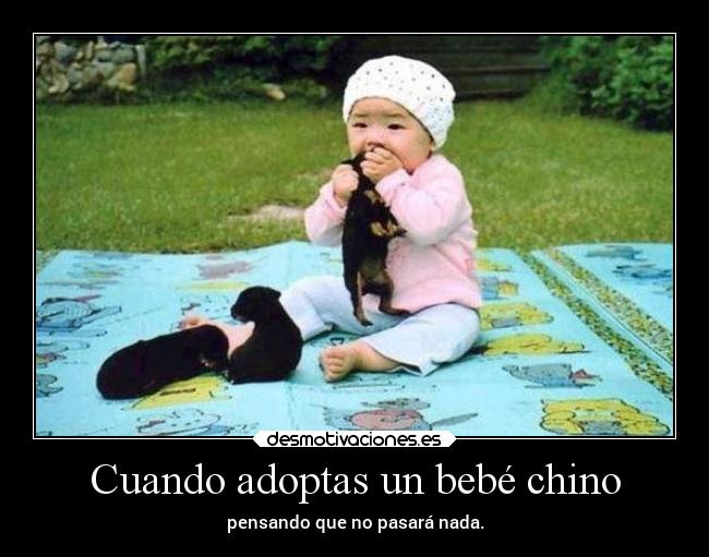 Cuando adoptas un bebé chino - pensando que no pasará nada.