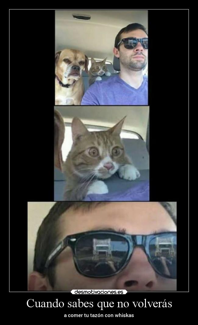 Cuando sabes que no volverás - 