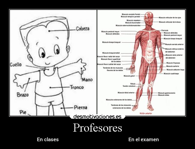 Profesores - En clases En el examen