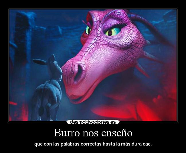 Burro nos enseño - que con las palabras correctas hasta la más dura cae.