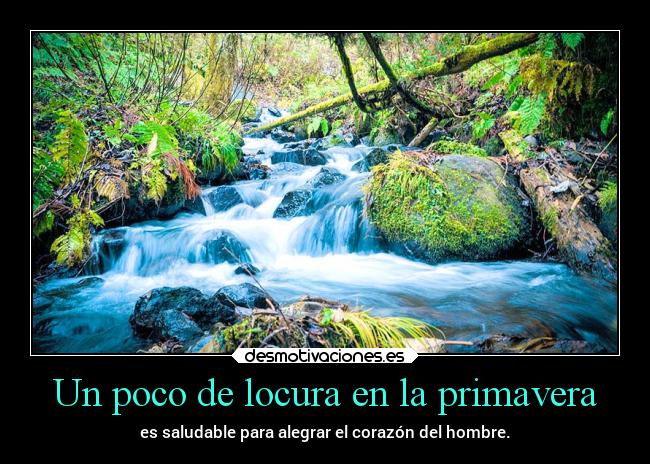 Un poco de locura en la primavera - 