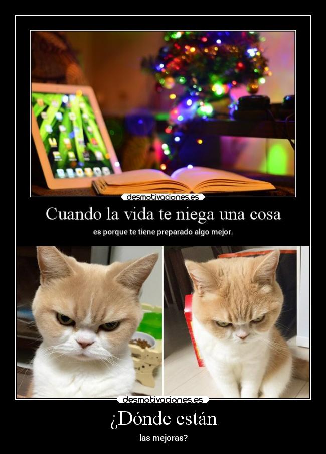 carteles mentira gatos clandesplazado slipkdemon mejoras desmotivaciones