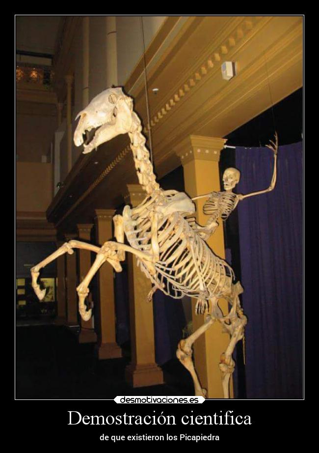 Demostración cientifica -