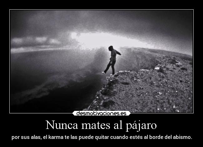 Nunca mates al pájaro - por sus alas, el karma te las puede quitar cuando estés al borde del abismo.