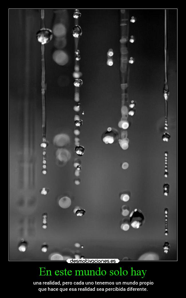 En este mundo solo hay - una realidad, pero cada uno tenemos un mundo propio
que hace que esa realidad sea percibida diferente.