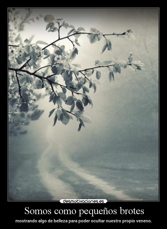 Somos como pequeños brotes - mostrando algo de belleza para poder ocultar nuestro propio veneno.