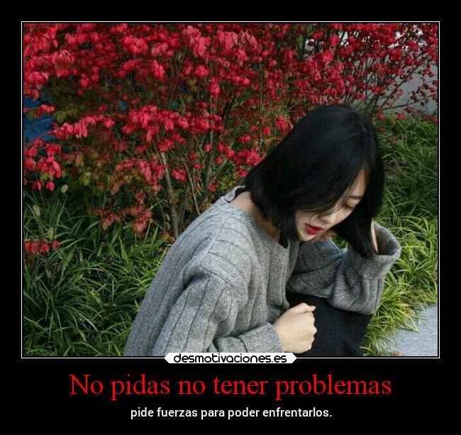 No pidas no tener problemas - 
