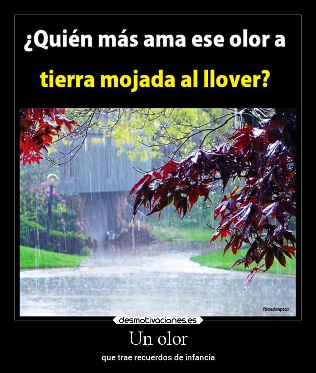 Un olor -