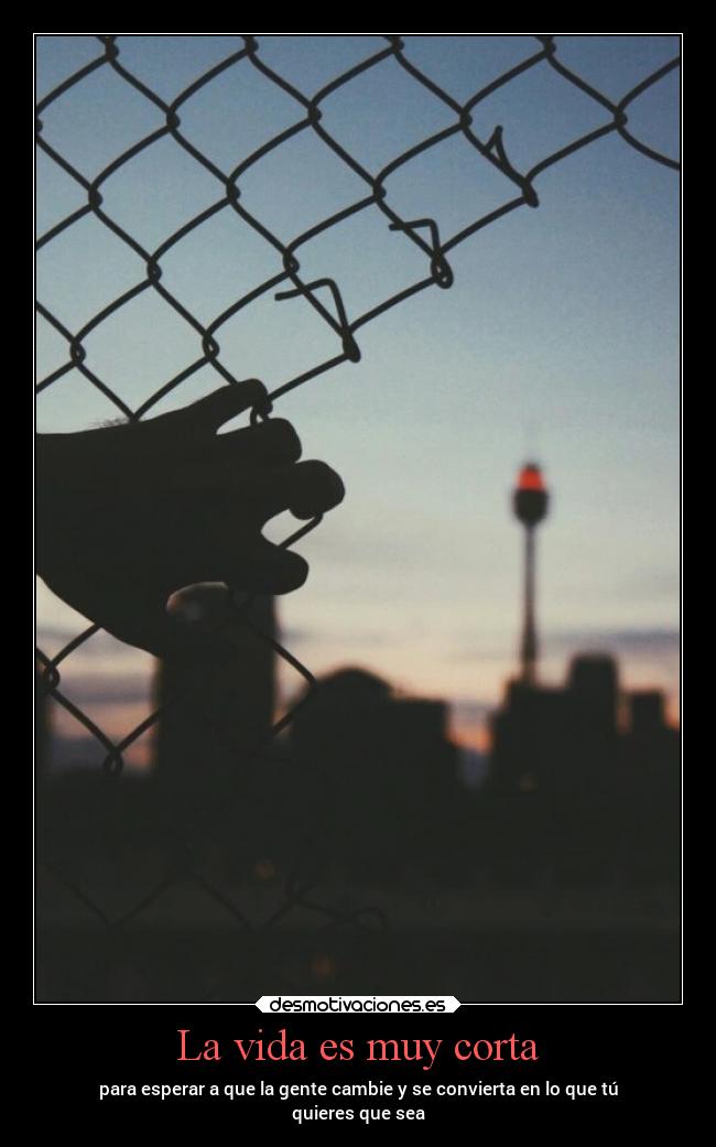 La vida es muy corta - 