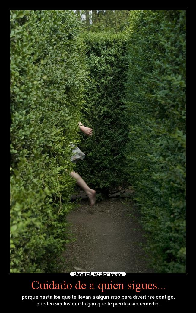 carteles vida criticas debilidad alegoria experimentotumblr hastaquepaselavasca desmotivaciones