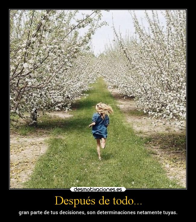 carteles vida determinacion decisiones voluntad actos desmotivaciones