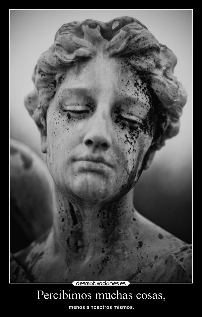 Percibimos muchas cosas, - menos a nosotros mismos.