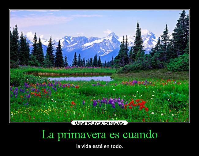 La primavera es cuando - 